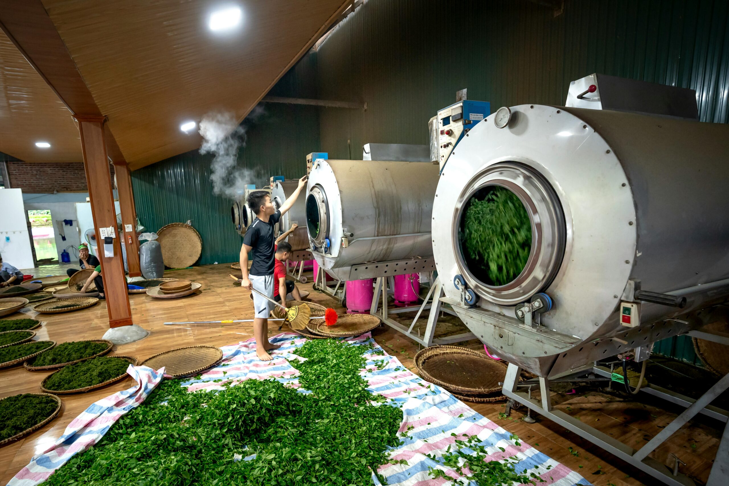 Plant Production
